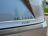 New 2025 Lexus NX 300h AWD w/ Luxury Package image 6