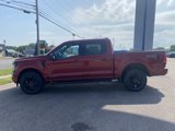 New 2025 Ford F150 XLT image 2