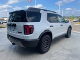New 2026 Honda Passport TrailSport Elite image 5