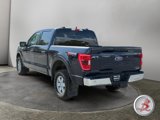 Used 2023 Ford F150 XLT w/ Equipment Group 301A Mid image 5