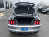 Used 2023 Ford Mustang Premium image 5