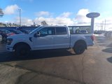 New 2025 Ford F150 XLT w/ Equipment Group 302A MID image 2