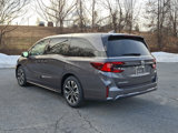 New 2025 Honda Odyssey Elite image 4