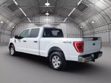Used 2023 Ford F150 XLT image 5