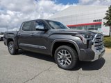 New 2025 Toyota Tundra 1794 Edition image 2