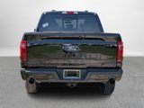 New 2025 Ford F150 XLT image 4