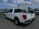 Certified 2022 Ford F150 XLT w/ Equipment Group 301A Mid image 5