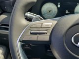 New 2025 Hyundai Palisade Calligraphy image 4