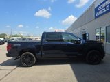 Used 2025 Ford F150 Platinum image 3
