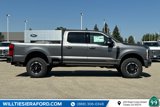 New 2025 Ford F250 Platinum w/ Tremor Off-Road Package image 5