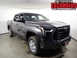 New 2025 Toyota Tundra SR5 image 1
