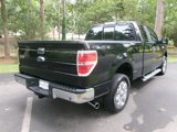 Used 2014 Ford F150 XLT w/ Equipment Group 302A Luxury image 6