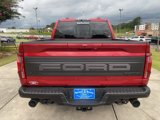 New 2025 Ford F150 Raptor image 4