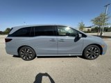 New 2025 Honda Odyssey Elite image 4