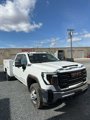New 2025 GMC Sierra 3500 Pro w/ Convenience Package image 4