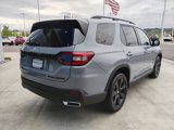 New 2025 Honda Pilot Black Edition image 5