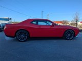 Used 2023 Dodge Challenger R/T Scat Pack w/ Plus Package image 3