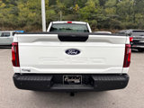 New 2024 Ford F150 XL image 3