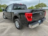 Used 2023 Ford F150 XLT image 4