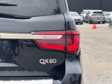 Certified 2024 INFINITI QX80 Premium Select w/ Cargo Package image 5