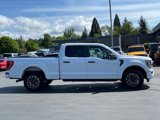 Used 2023 Ford F150 XL w/ STX Appearance Package image 4