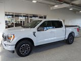 Certified 2023 Ford F150 XLT w/ Equipment Group 302A High image 5