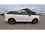 New 2026 Hyundai Palisade Calligraphy image 4