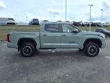 Certified 2025 Toyota Tundra SR5 image 5