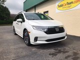 Used 2022 Honda Odyssey Elite image 6