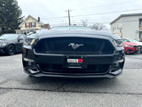 Used 2015 Ford Mustang GT Premium w/ Equipment Group 401A image 5