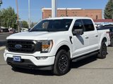 Used 2022 Ford F150 XLT w/ Equipment Group 302A High image 6