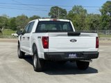 New 2025 Ford F150 XL image 5