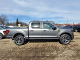 New 2025 Ford F150 STX w/ Equipment Group 200A image 4