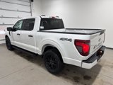 New 2025 Ford F150 STX w/ STX Black Appearance Package image 6