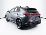 Used 2024 Lexus NX 250 FWD image 5