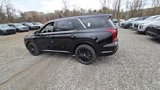 New 2025 Hyundai Palisade Calligraphy image 4