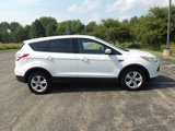 Used 2014 Ford Escape SE image 2