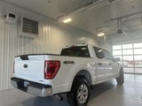 Used 2023 Ford F150 XLT image 3