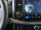 New 2025 Ford F150 XLT w/ Equipment Group 302A MID image 5