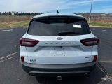 New 2025 Ford Escape ST-Line Elite w/ Class II Trailer Tow Package image 4