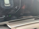 New 2025 Kia Carnival SX image 3
