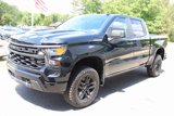 New 2025 Chevrolet Silverado 1500 Custom Trail Boss w/ Dark Appearance Package image 3