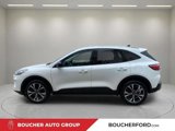 Certified 2022 Ford Escape SE w/ SE Sport Appearance Package image 5