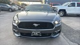 Used 2016 Ford Mustang Premium w/ Equipment Group 201A image 2