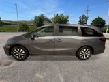 New 2026 Honda Odyssey EX-L image 2