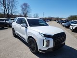 New 2025 Hyundai Palisade Calligraphy image 5