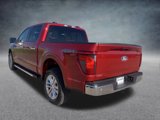 New 2025 Ford F150 XLT w/ Equipment Group 302A MID image 5