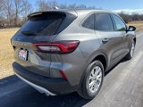 New 2025 Ford Escape Active w/ Tech Pack #1 image 6