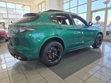 New 2024 Alfa Romeo Stelvio Quadrifoglio w/ Active Assist Plus Package image 3