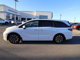New 2025 Honda Odyssey Elite image 3